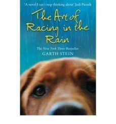 The Art Of Racing In The Rain
