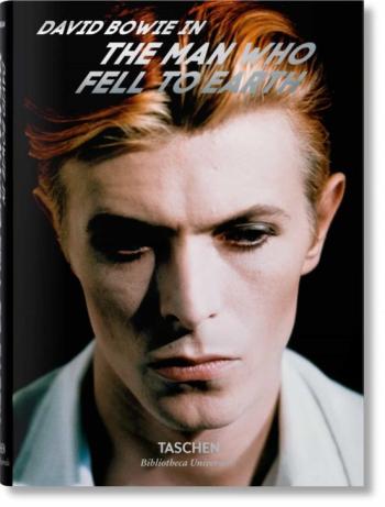 David Bowie. The Man Who Fell To Earth