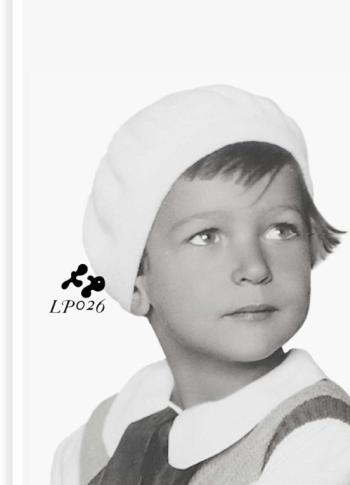 Libro El Loro De Budapest en PDF