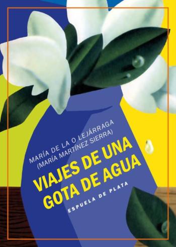 Libro Viajes De Una Gota De Agua en PDF