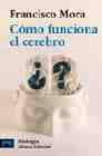 Como Funciona El Cerebro