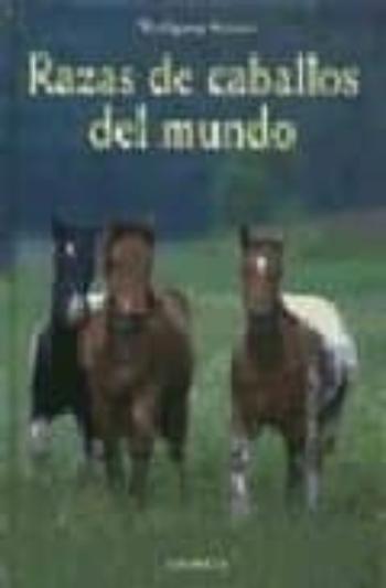 Razas De Caballos Del Mundo
