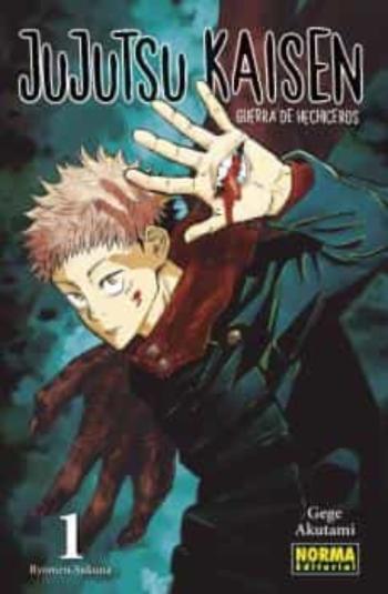 Libro Jujutsu Kaisen 1 en PDF