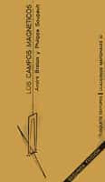 Los Campos Magneticos