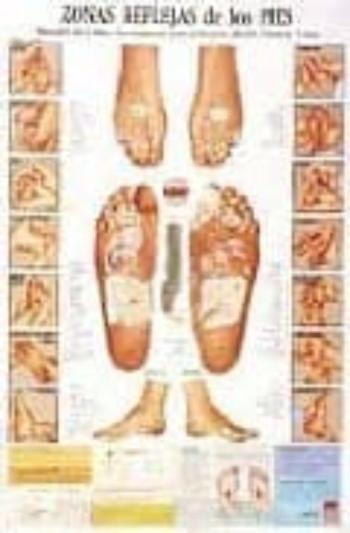 Zonas Reflejas De Los Pies