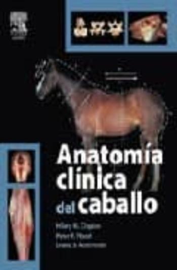 Libro Anatomia Clinica Del Caballo en PDF