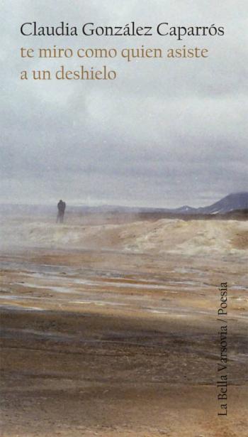 Te Miro Como Quien Asiste A Un Deshielo