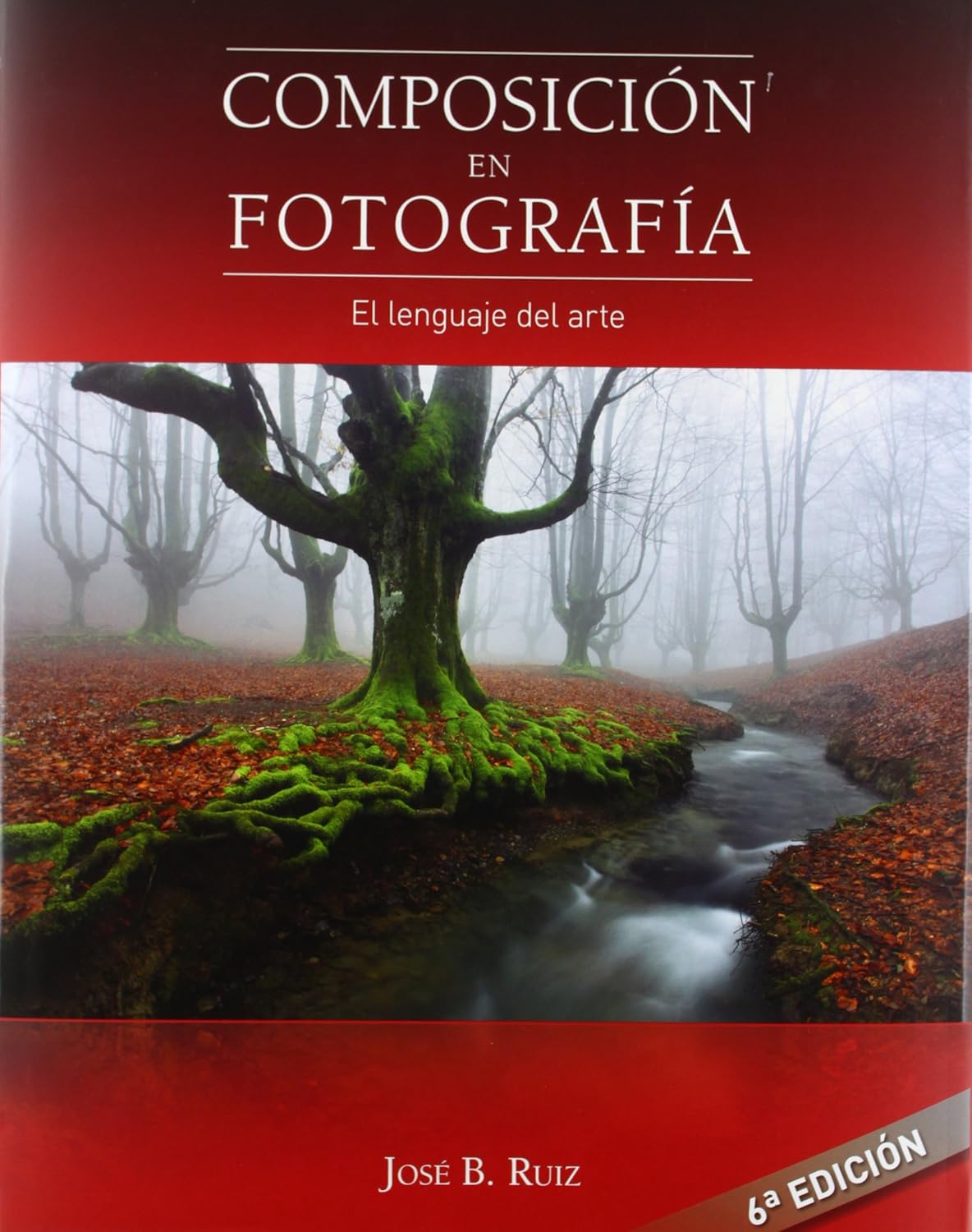 Composicion En Fotografia