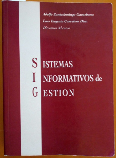 Sistemas Informativos De Gestion
